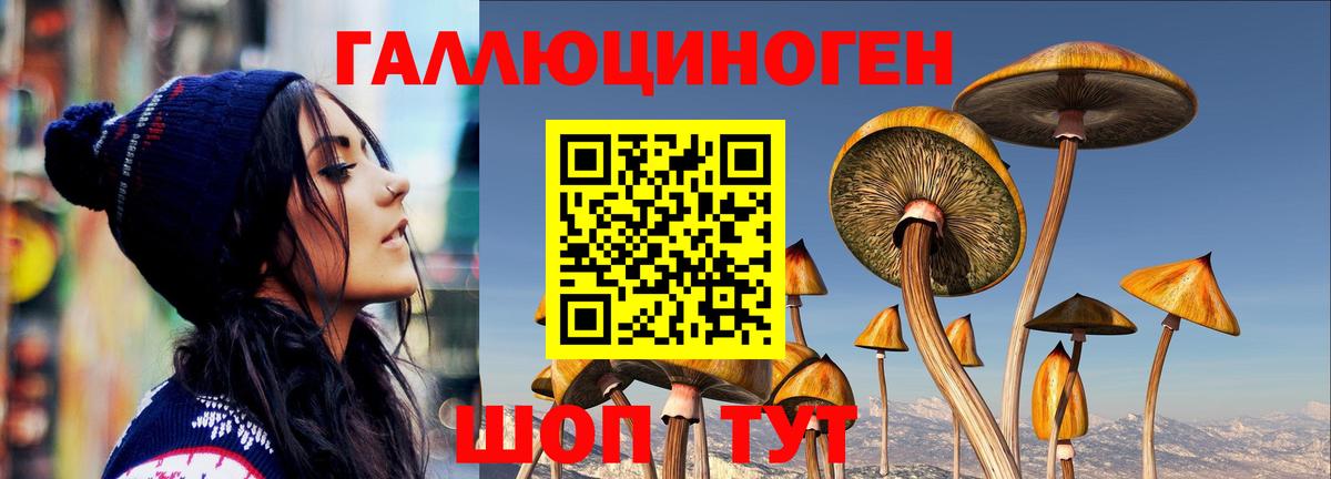 Галлюциногенные грибы Magic Shrooms Мирный