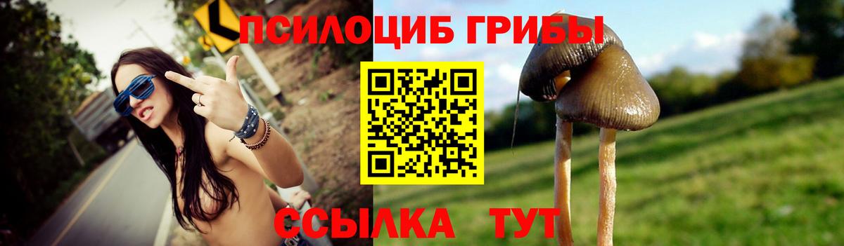 Псилоцибиновые грибы MAGIC MUSHROOMS  Псилоцибиновые грибы MAGIC MUSHROOMS  Мирный  Вход с VPN 